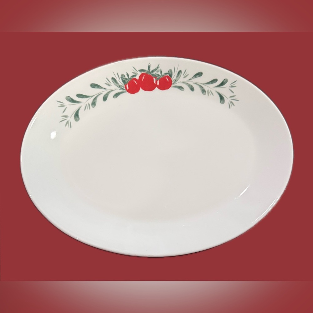 Steelite International England Large Oval Ceramic Plate Platter Tomato Theme